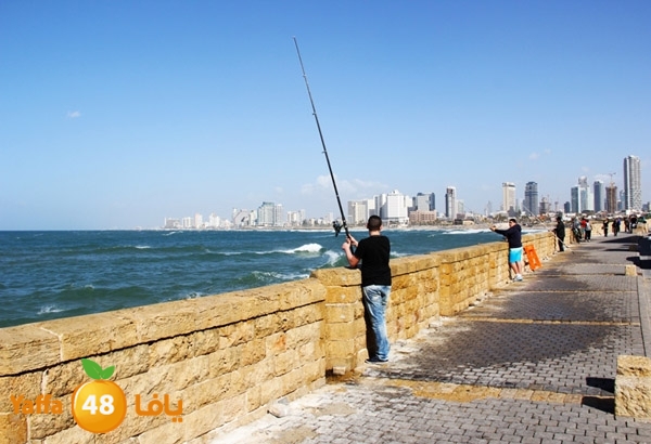 mina2 yaffaj343 (33).jpg